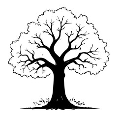 Oak tree silhouette design  logo 