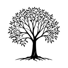 Willow tree silhouette design  logo 