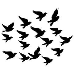 Flock of flying birds vector silhouette, white background