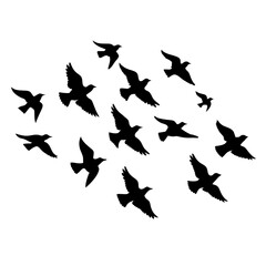 Flock of flying birds vector silhouette, white background