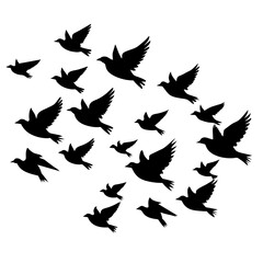 Flock of flying birds vector silhouette, white background