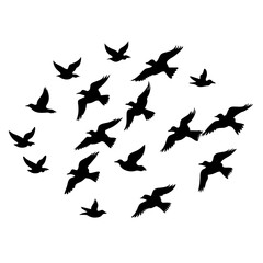Flock of flying birds vector silhouette, white background