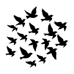 Flock of flying birds vector silhouette, white background