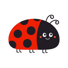Fototapeta premium Lady bug, lady bird Black and red insect icon. Cute cartoon kawaii funny baby character. Happy Valentines Day. Card Sticker print. Childish style. Flat design. White background. Isolated. Vector