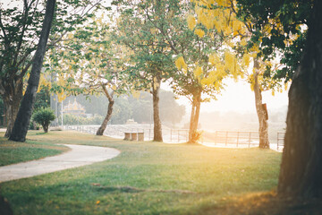 natural green background with selective focus  © chaunpis