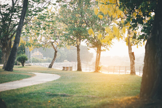 natural green background with selective focus
