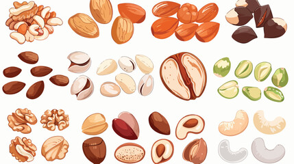Cartoon nuts and grains. Nut with shell nutrient seed