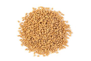 wheat grains isolated on white background. 