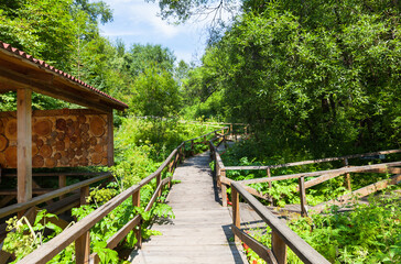 Fototapeta premium Ecological wooden trail in the Dendrological Park of the Nature Reserve in the village of Listvyanka near the shore of Lake Baikal in summer