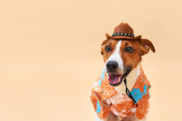 ack Russell terrier breed in a cowboy hat and Hawaiian shirt