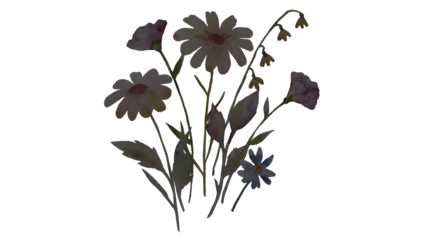 A stunning flower unfurls its vibrant petals, capturing the essence of springtime beauty. Perfect for adding a touch of floral flair to your designs.