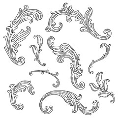 Fototapeta premium Set of floral elements in baroque style. Decorative curling plant.