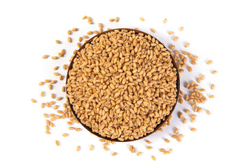 wheat grains isolated on white background. 