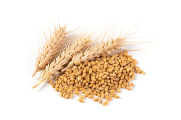 wheat ears and wheat seed grain isolated on white background.
