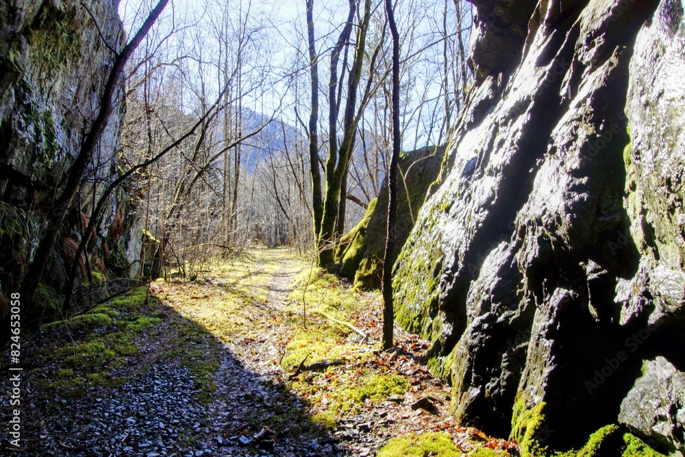 Wall mural path in the mountains