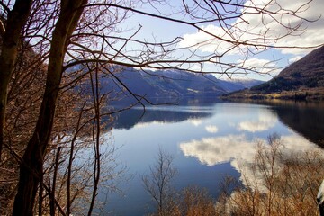 Obraz premium reflection of trees in the lake