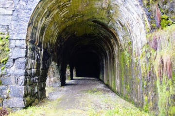 tunnel in the woods