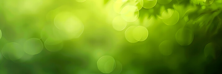 Obraz premium Green gradient background. Abstract blurry fresh green background