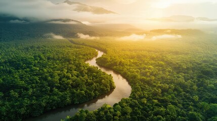 Fototapeta premium Breathtaking aerial view of a winding river flowing through lush green forest under a golden sunrise, showcasing nature's beauty and tranquility.