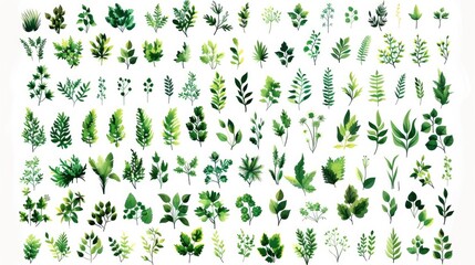 Fototapeta premium Stylized Green Plants Collection for Eco-Friendly Design and Illustrations