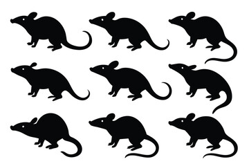 Set of Bamboo Rat animal black silhouette vector on white background