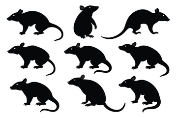 Set of Bamboo Rat animal black silhouette vector on white background