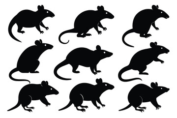 Set of Bamboo Rat animal black silhouette vector on white background