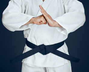 Karate, hands and person for greeting in studio for master, exercise or discipline with black belt. Man, martial arts or professional fighter in dojo for sport, expertise or self defense or taekwondo