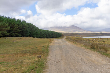 Gravel road between the edge of the forest and the lake leading to the mountains