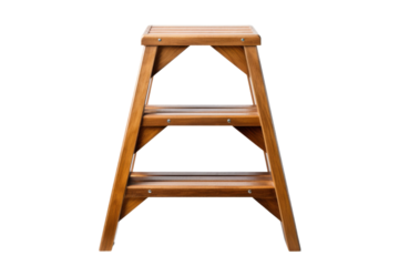 The Midnight Oracle on a White or Clear Surface PNG Transparent Background.