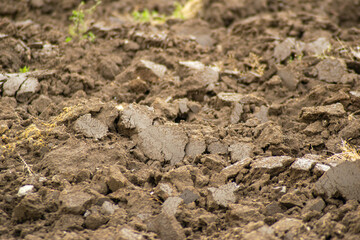 selective focus, detail of fertile soil of an agricultural field
