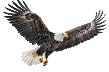 Fototapeta premium Majestic bald eagle soaring through the sky. Ideal for patriotic and wildlife themed projects