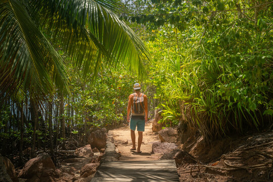Fototapeta Exploring Paradise: Man Walking Through Jungle Passage in Seychelles, Summer Vibes
