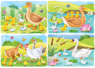 Ugly Duckling. Fairy tale. Small collection of cute characters. Illustration for children. Coloring page