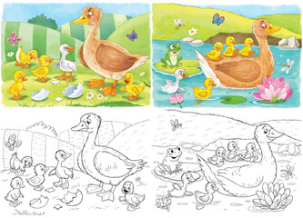 Ugly Duckling. Fairy tale. Small collection of cute characters. Illustration for children. Coloring page