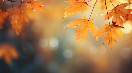 Autumn Leaves with Raindrops