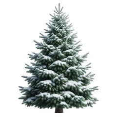 Fototapeta premium christmas tree