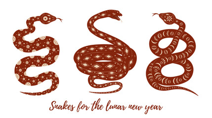 Obraz premium Set of vector festive snakes with geometric ornament for lunar chinese new year celebration. Happy new year lunar in China