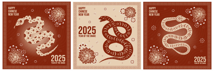 Set of vector festive cards with snake with traditional ornament, lanterns and lotus for lunar chinese new year celebration. Happy new year lunar in China square cards.