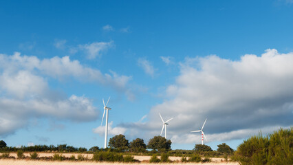 Wind Turbines Surrounded By Blue Sky 