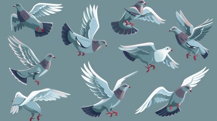 Bird animation in heaven, birds sequence frame sprite cycle movement flight feather 2d animated migratory pigeon, cartoon neat modern illustration.