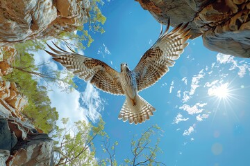 Fototapeta premium Craft a photorealistic depiction of a bird soaring overhead against a clear blue sky as seen from a worms-eye view at a scenic lookout point Emphasize the dynamic motion and perspe