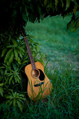 Acoustic guitar, orange string musical instrument placed in the area of trees and grass, playing...