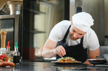 Closeup of a concentrated male chef garnishing food in the kitchen