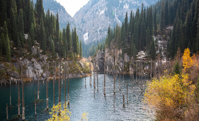 a serene mountain lake with submerged trees, surrounded by dense evergreen forests and autumn...