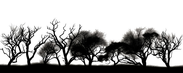 Trees silhouette in the forest, isolated on white, generated ai