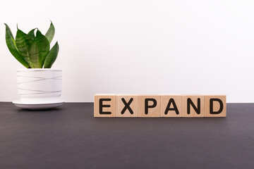 EXPAND word made with building blocks on a light background