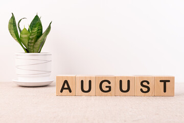 The word August on wooden cubes. Concept Month of year.