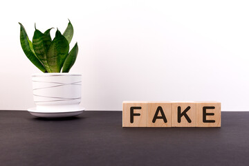 FAKE word with building blocks on a light background and a dark table with a green flower