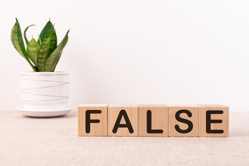 Word False is written on wooden cubes blocks on a light background.